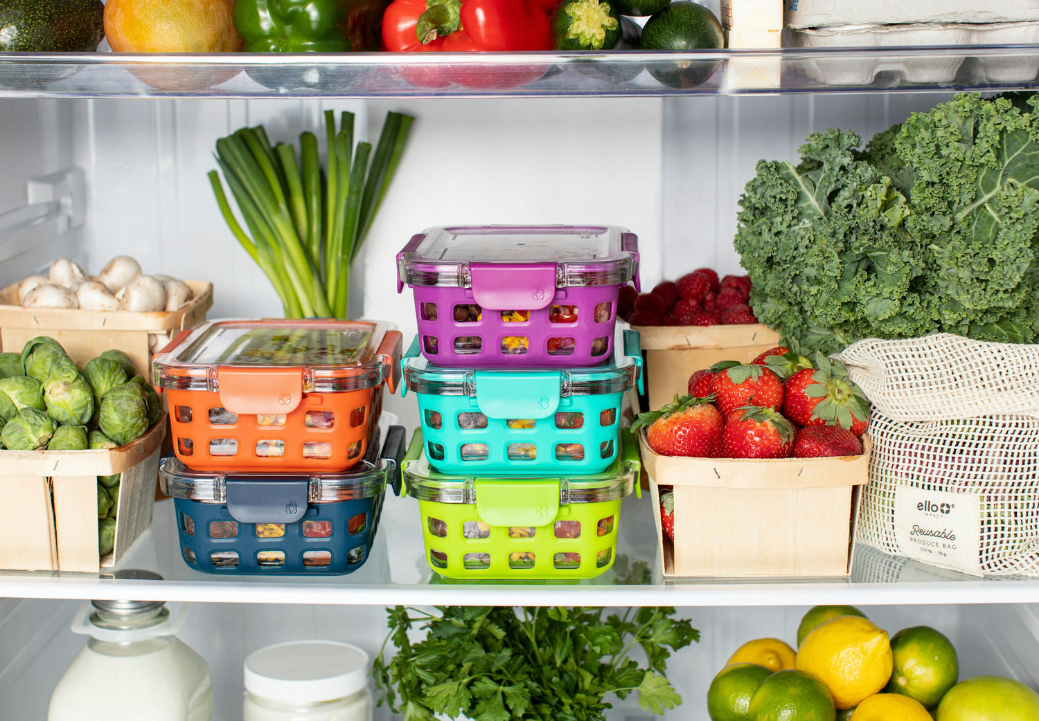 Food Storage Containers (Glass & Plastic)